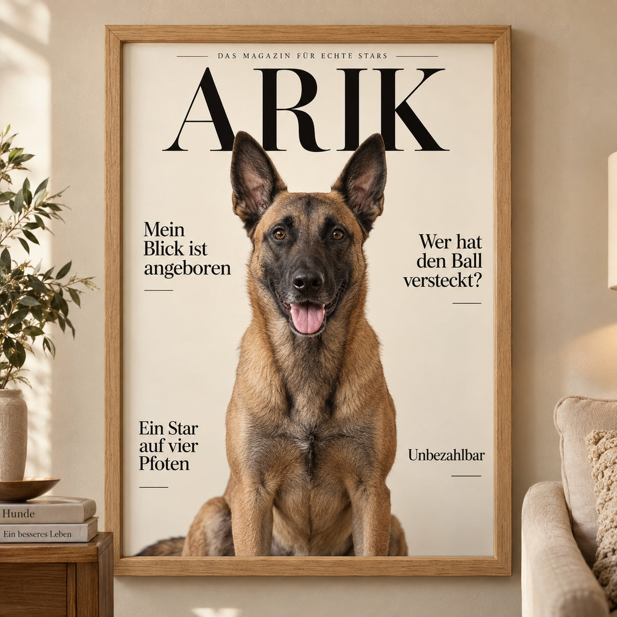 Malinois Portrait und Geschenke