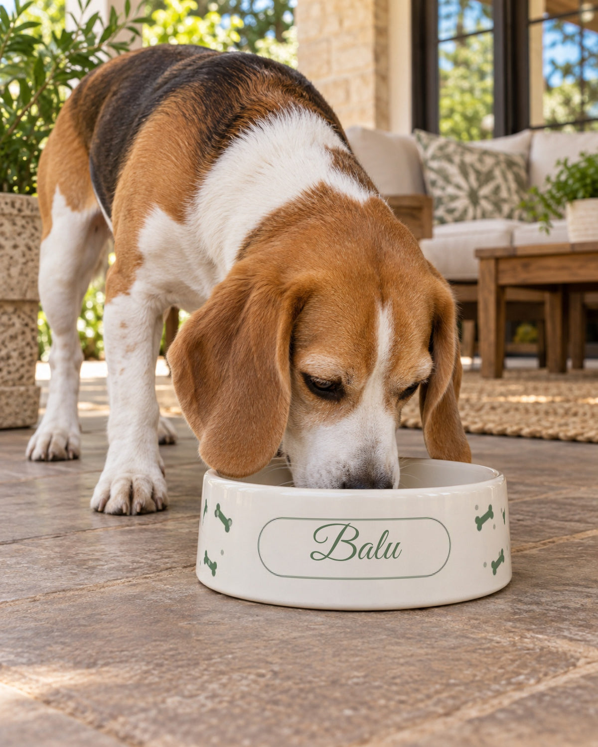 Keramiknapf mit Knochen in Salbeigrün und Namen Balu, Beagle frisst daraus auf der Terrasse