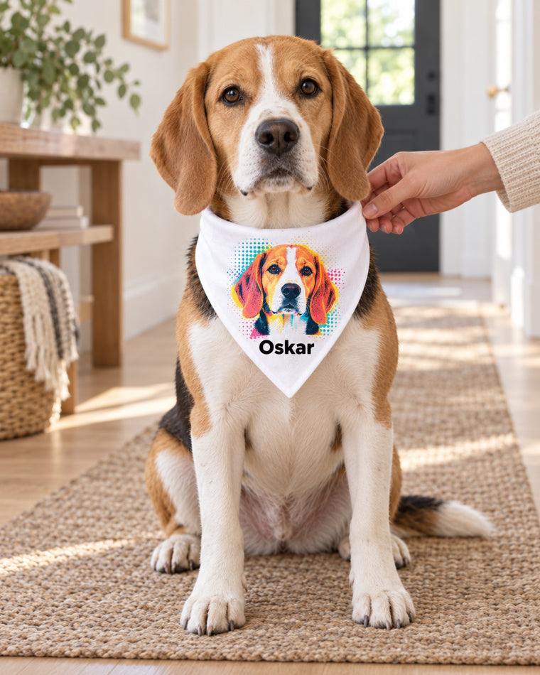 Beagle trägt Halstuch mit seinem Portrait im Pop-Art-Stil und Namen Oskar