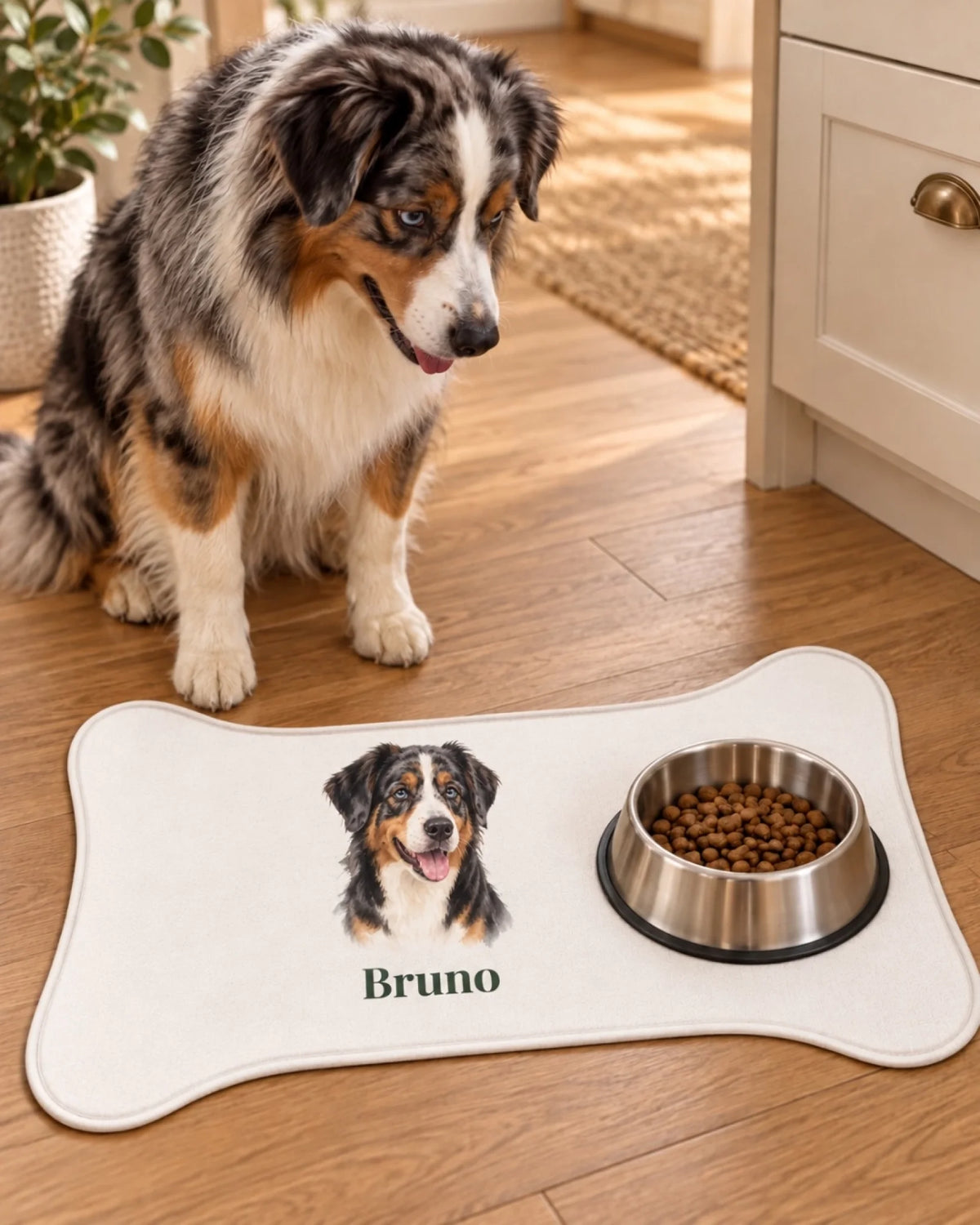 Futtermatte mit Australian Shepherd Bruno