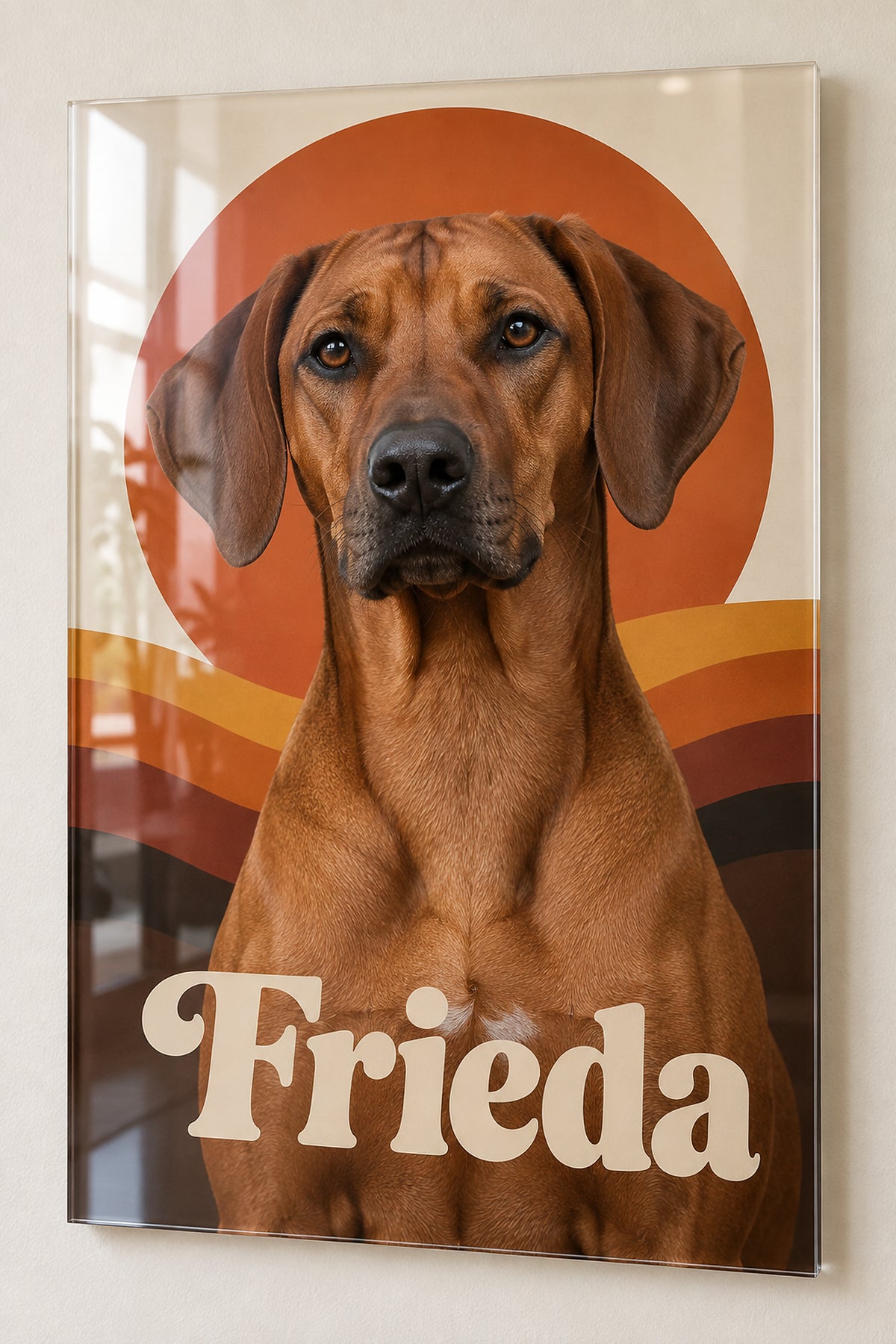 Hundeportrait auf Acrylglas, Beispiel Rhodesian Ridgeback mit dem Namen Frieda