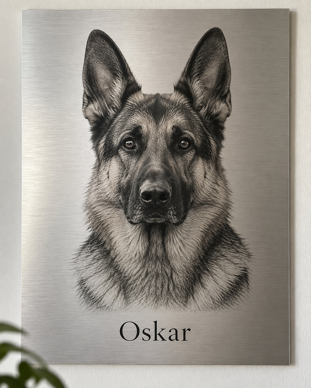 Hundeportrait auf Aluminium: Deutscher Schäferhund mit dem Namen Oskar
