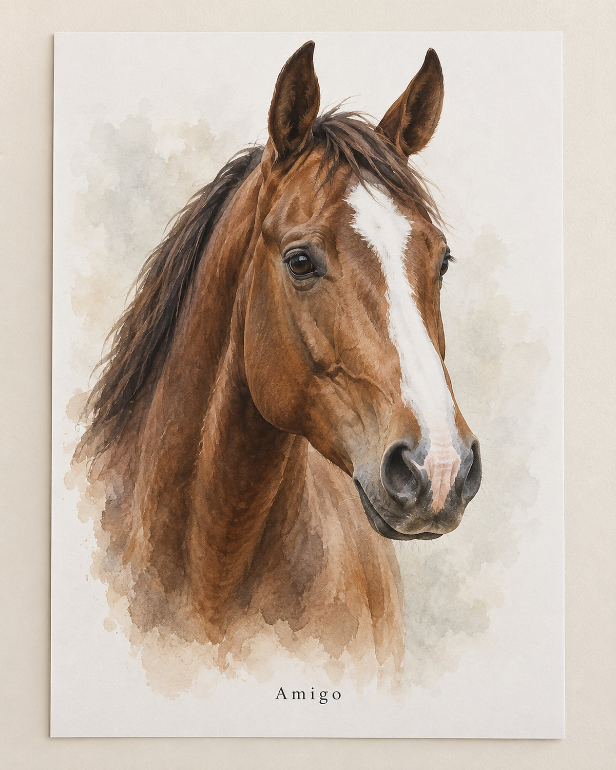 Pferdeportrait als Poster: Braunes Warmblut mit dem Namen Amigo