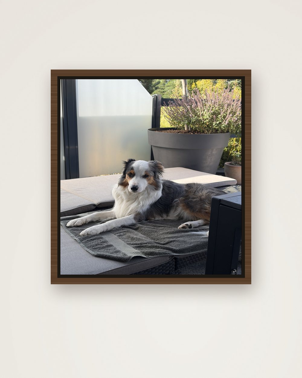 Hundeportrait als Original auf Leinwand mit Rahmen, Beispiel