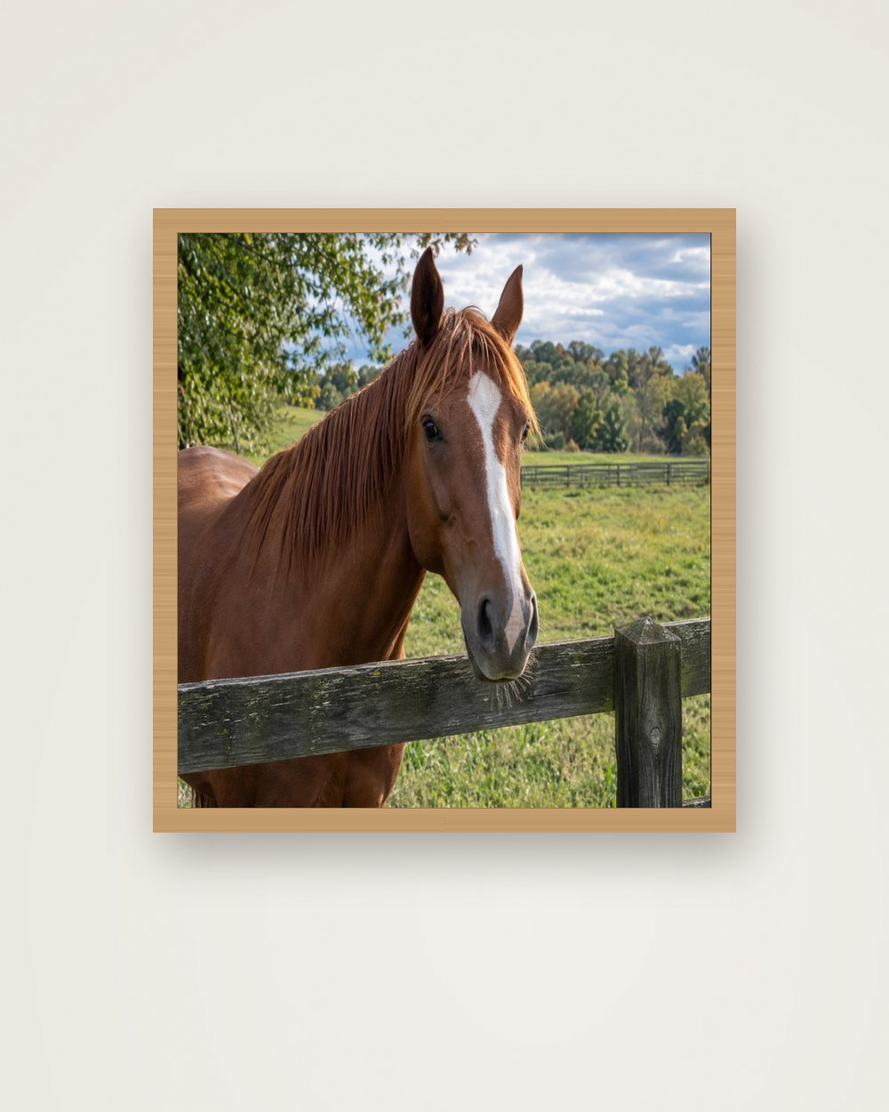 Pferdeportrait als Original als Poster im Holzrahmen, Beispiel