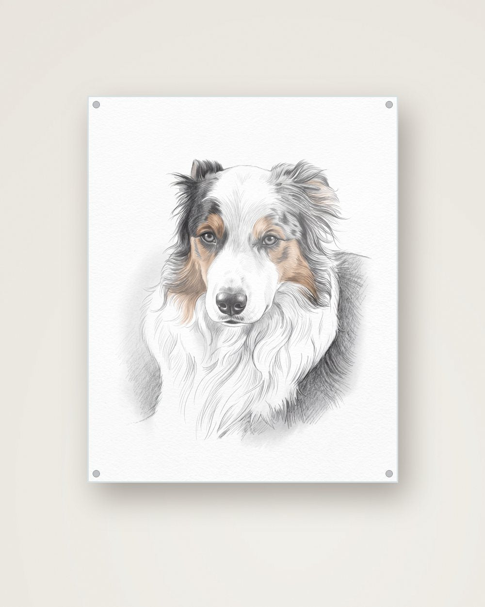 Hundeportrait im Stil Sketch auf Acrylglas, Beispiel