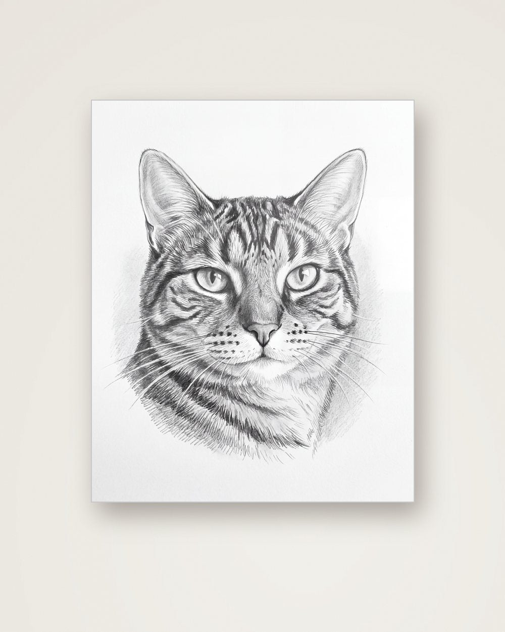 Katzenportrait im Stil Sketch auf Aluminium, Beispiel