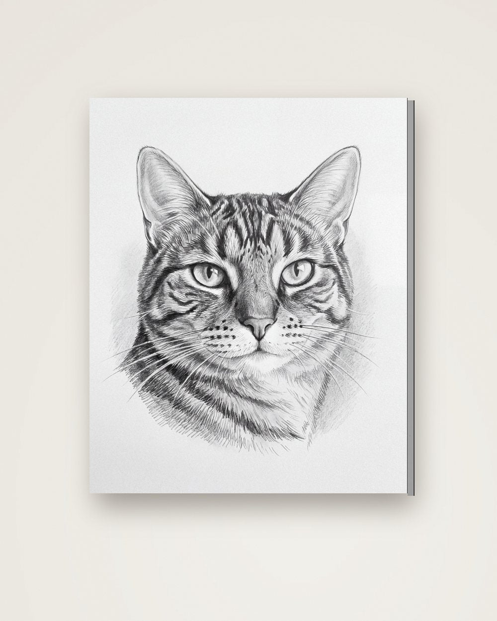 Katzenportrait im Stil Sketch auf Leinwand, Beispiel