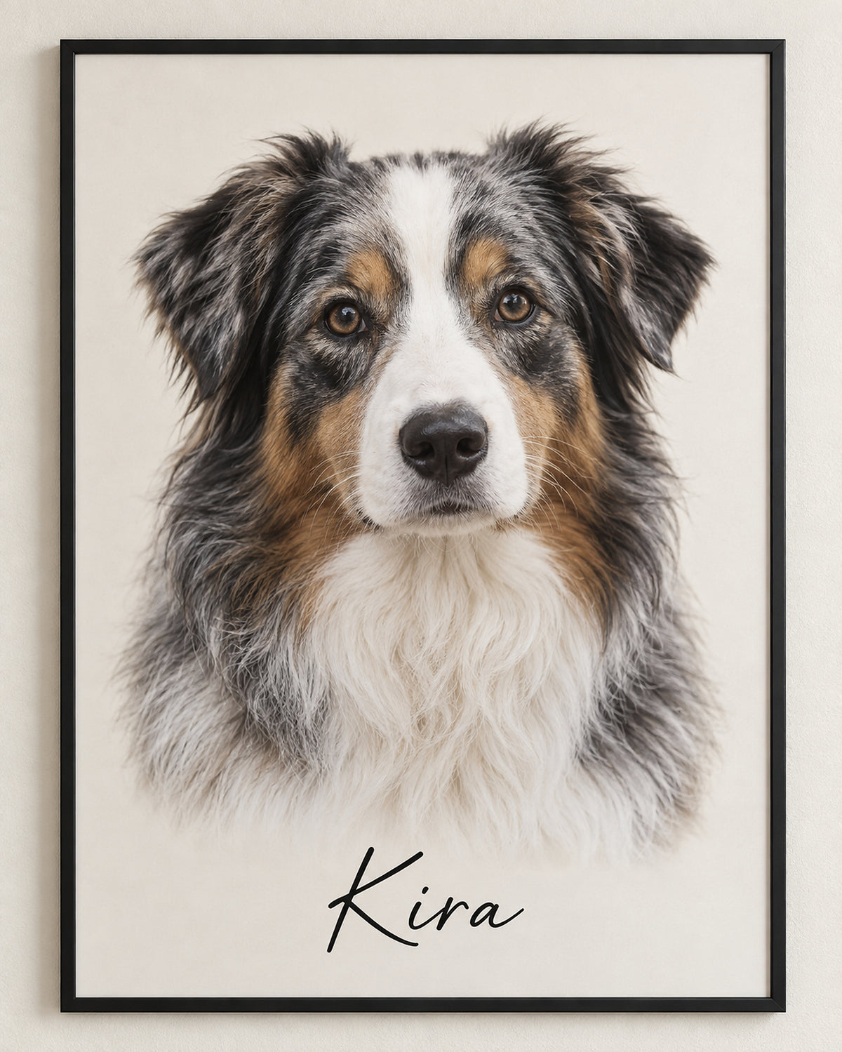 Hundeportrait im Metallrahmen: Australian Shepherd mit dem Namen Kira