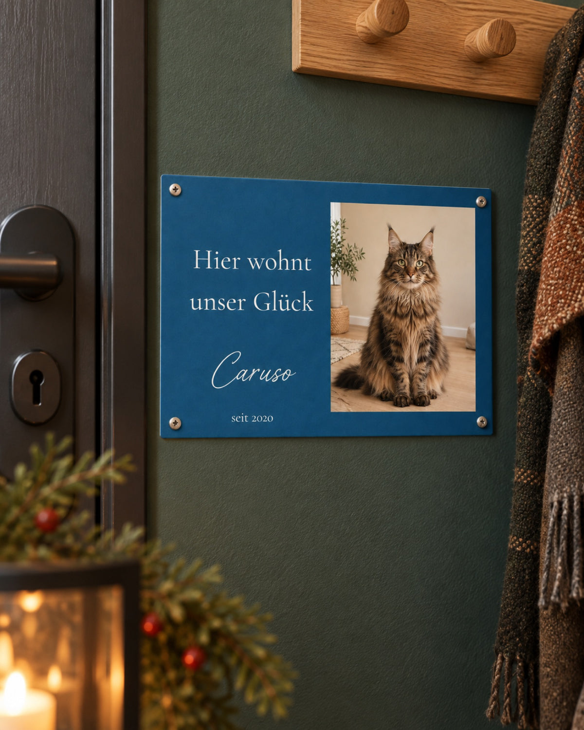 Türschild mit Maine Coon Caruso an einem dunkelgrünen Eingangsflur im Winter