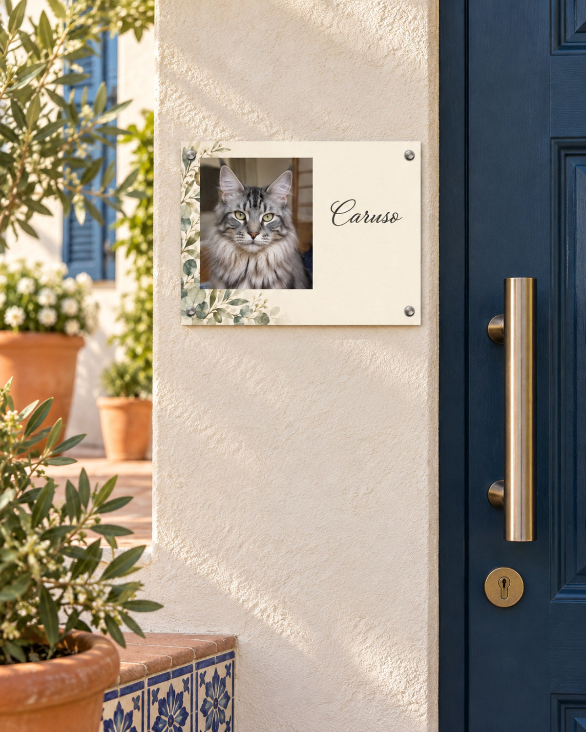 Türschild mit Maine Coon Caruso an einem cremefarbenen mediterranen Eingang im Sommer